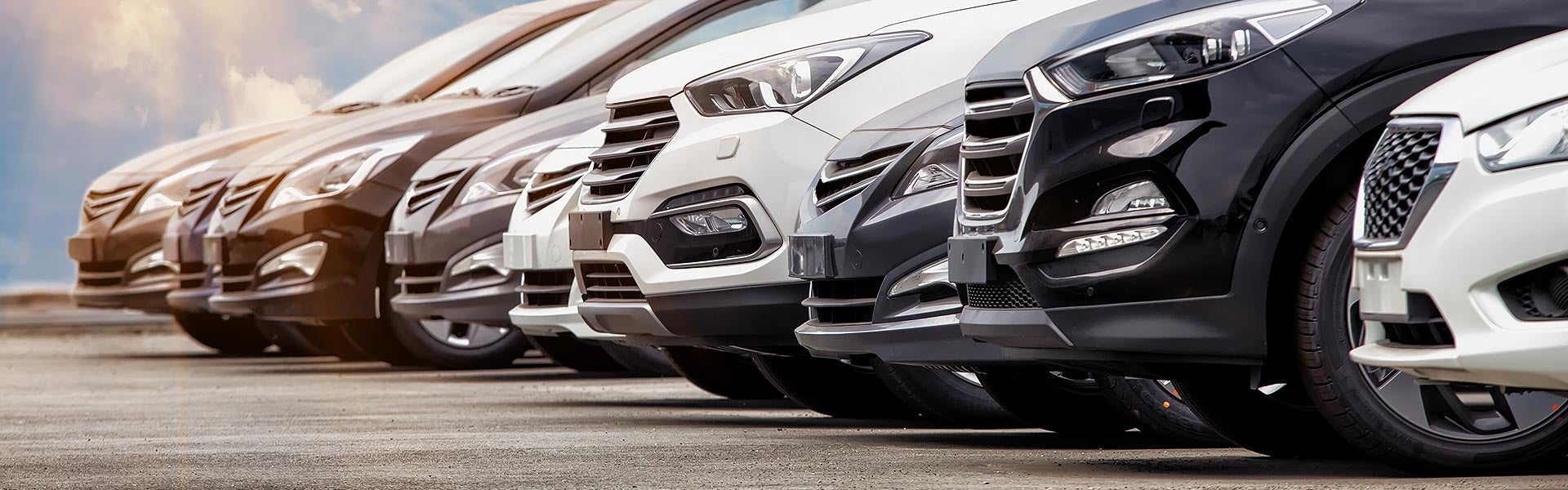 Row of pre-owned vehicles on the dealership lot